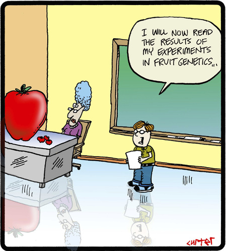funny teacher cartoons